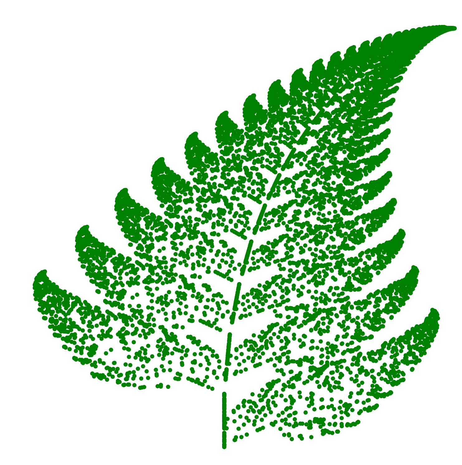 fern.png
